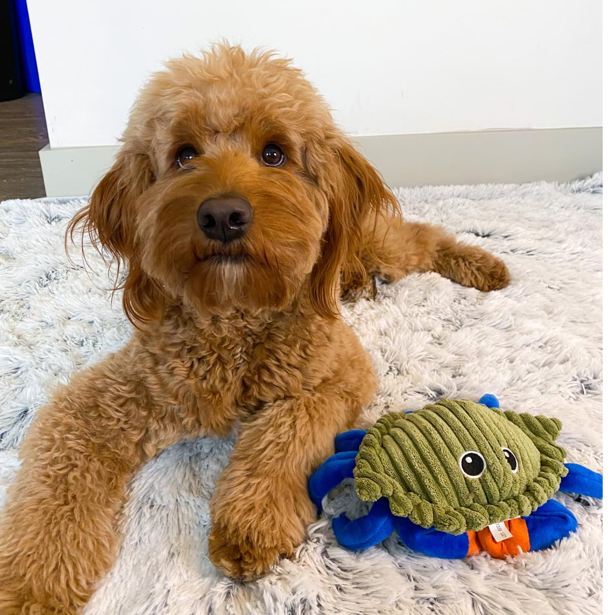 Tall Tails crab toy demonstrates animated movement to stimulate mind and body