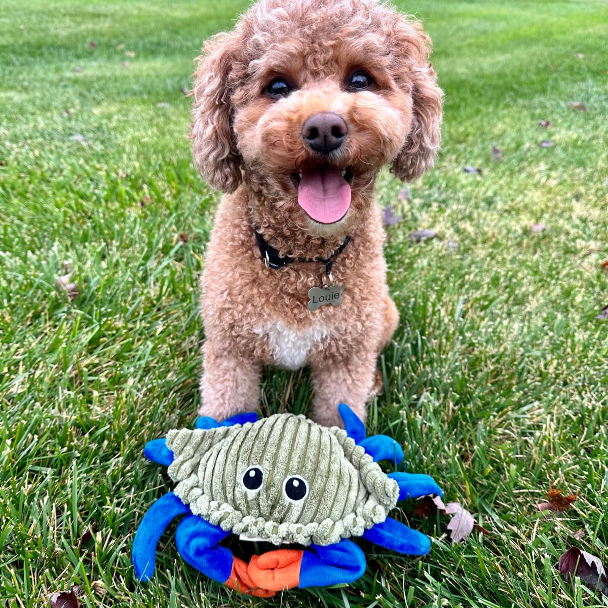 Tall Tails interactive-play crab toy supports bonding between you and your dog