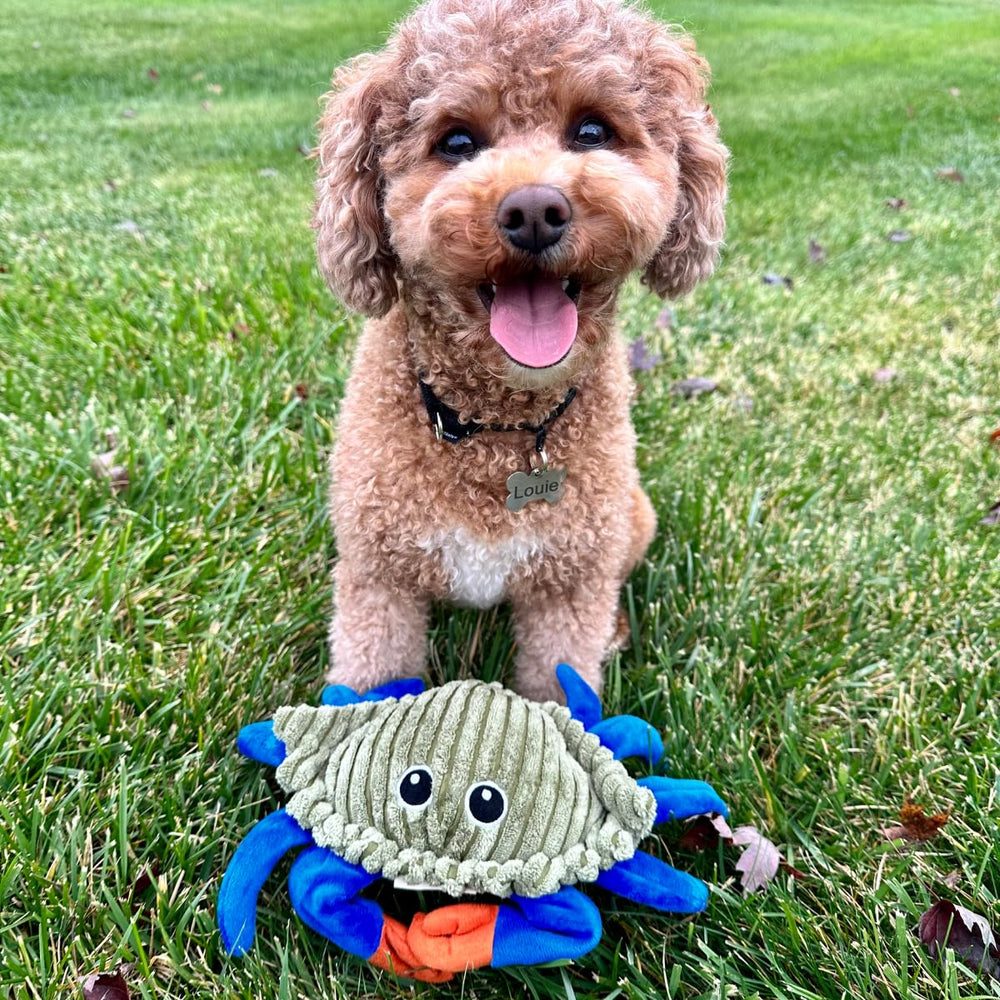 Tall Tails interactive-play crab toy supports bonding between you and your dog