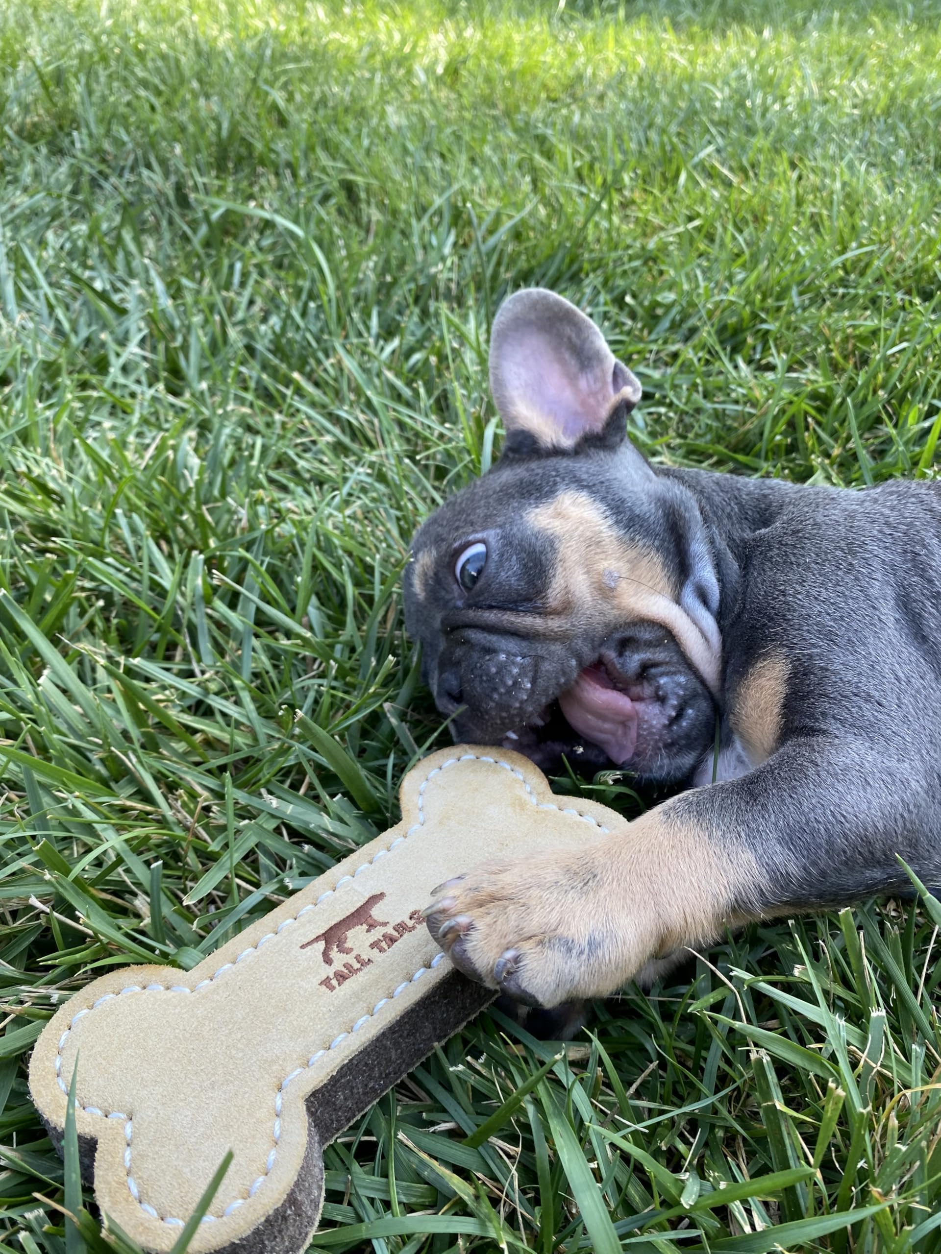 Tall Tails leather bone fetch toy 6in, safety-focused, supervision during play recommended.