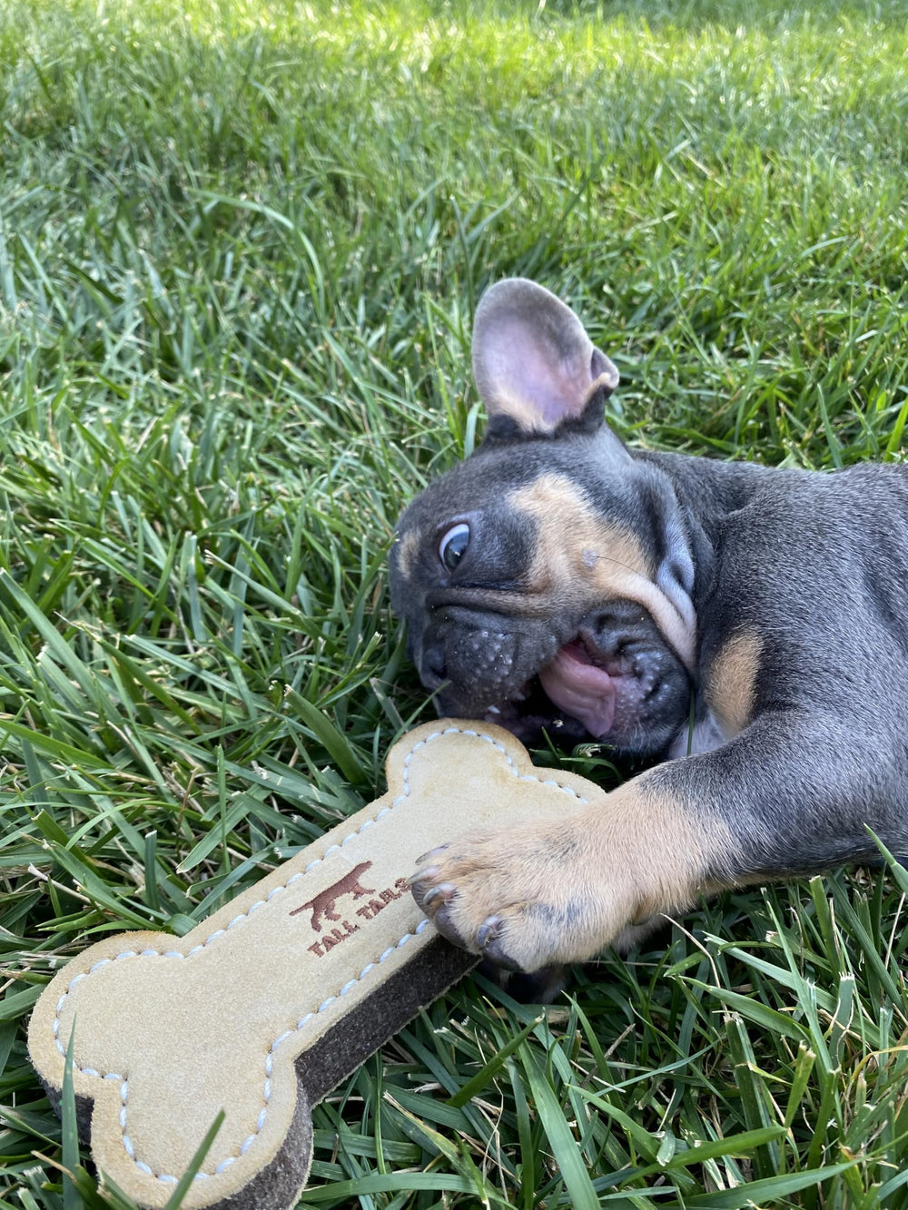 Tall Tails leather bone fetch toy 6in, safety-focused, supervision during play recommended.