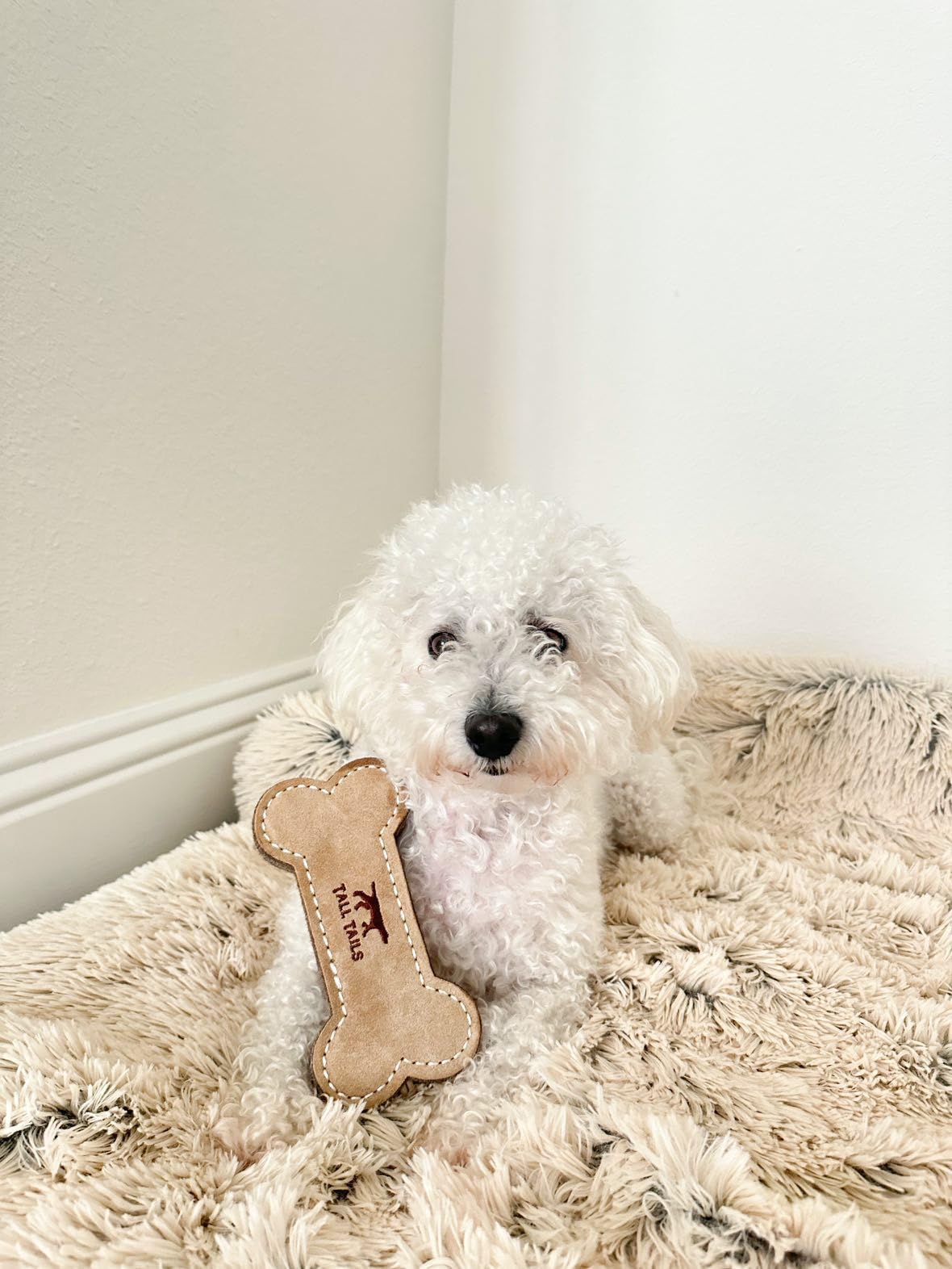 Tall Tails leather bone fetch toy 6in, hand-held view, perfect for interactive playtime.