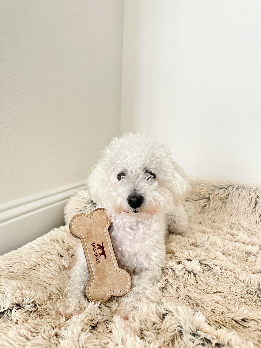 Tall Tails leather bone fetch toy 6in, hand-held view, perfect for interactive playtime.