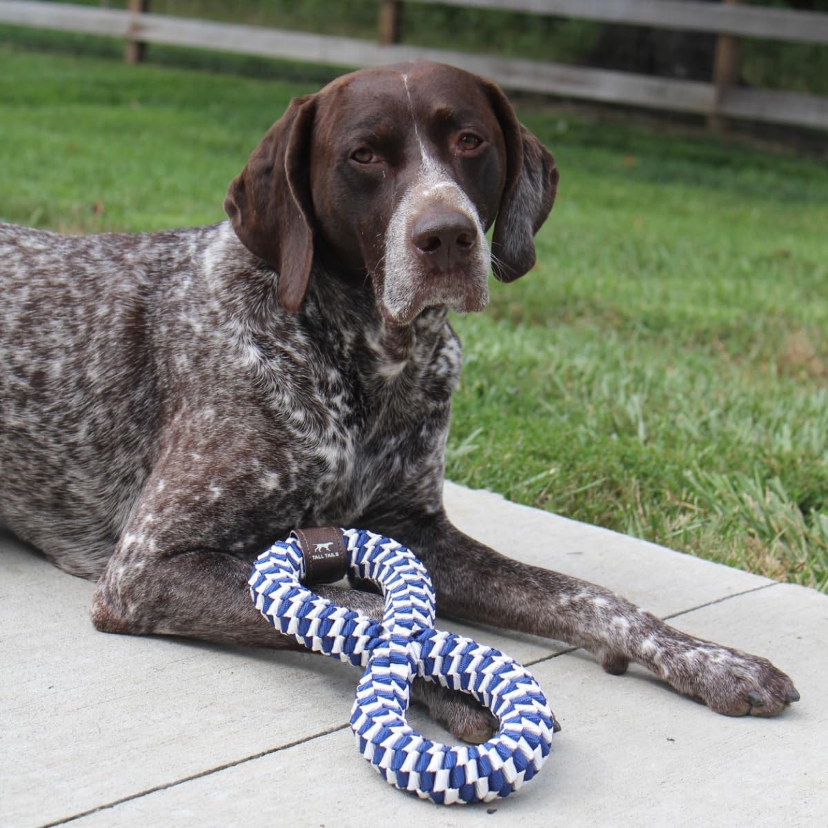 Tall Tails Navy braided infinity tug toy withstands strong pulls in outdoor games.
