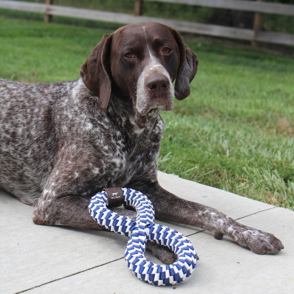 Tall Tails Navy braided infinity tug toy withstands strong pulls in outdoor games.