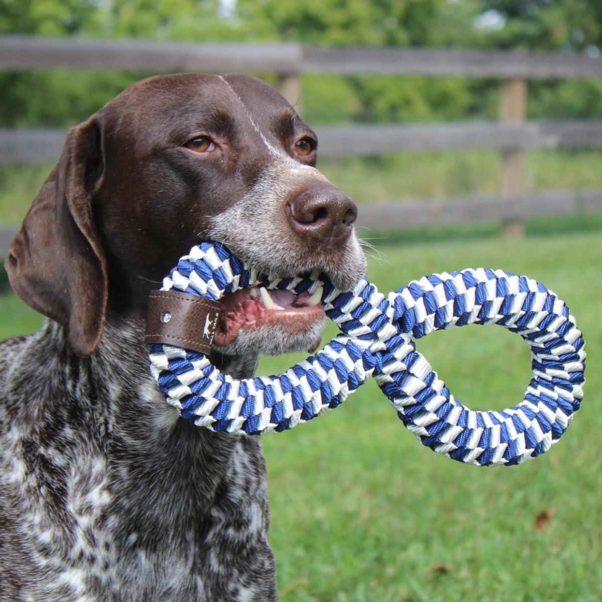 Tall Tails Navy braided infinity tug toy with two-color braid supports long-lasting fun.