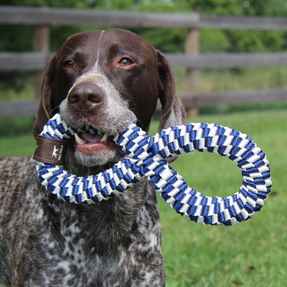 Tall Tails Navy braided infinity tug toy ready for spot-clean maintenance after play.