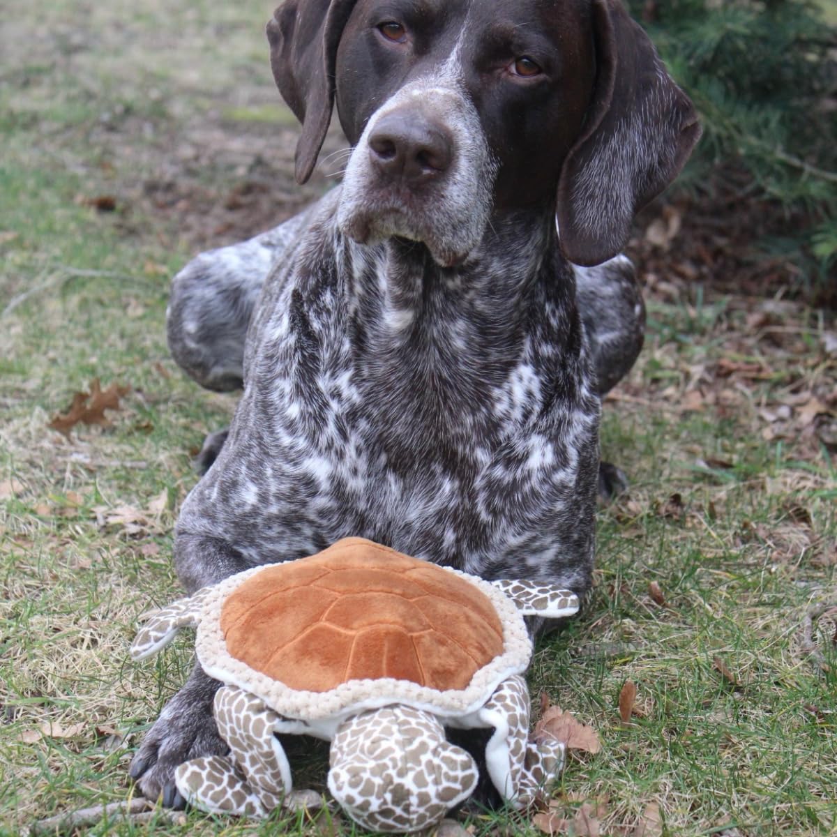Tall Tails reinforced mesh close-up shows durability during tough chews and play.