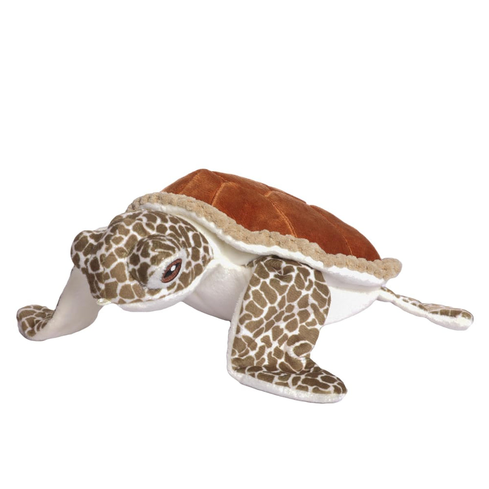 Tall Tails sea turtle toy front view for cuddling and interactive play.