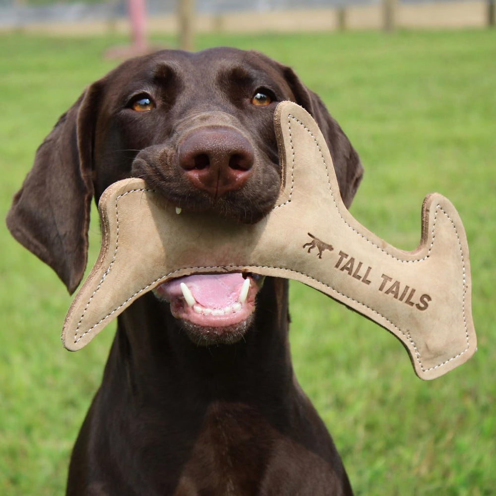 Tall Tails sturdy stitching close-up highlights long-lasting dog toy construction.