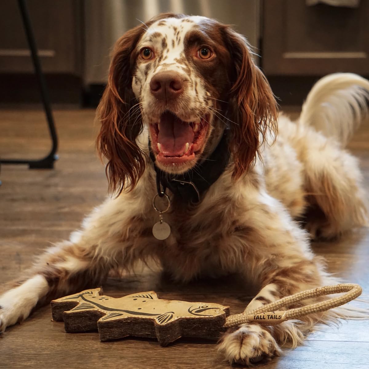 Tall Tails Trout Tug Toy durable construction for long-lasting play sessions