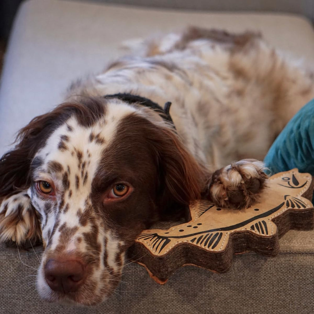 Tall Tails Trout Tug Toy outdoor play session ideal for dogs