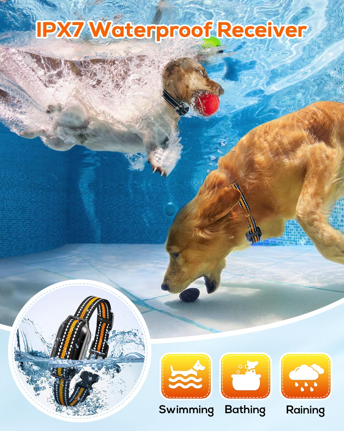 Tallentrol IPX7 waterproof collar ready for all weather use