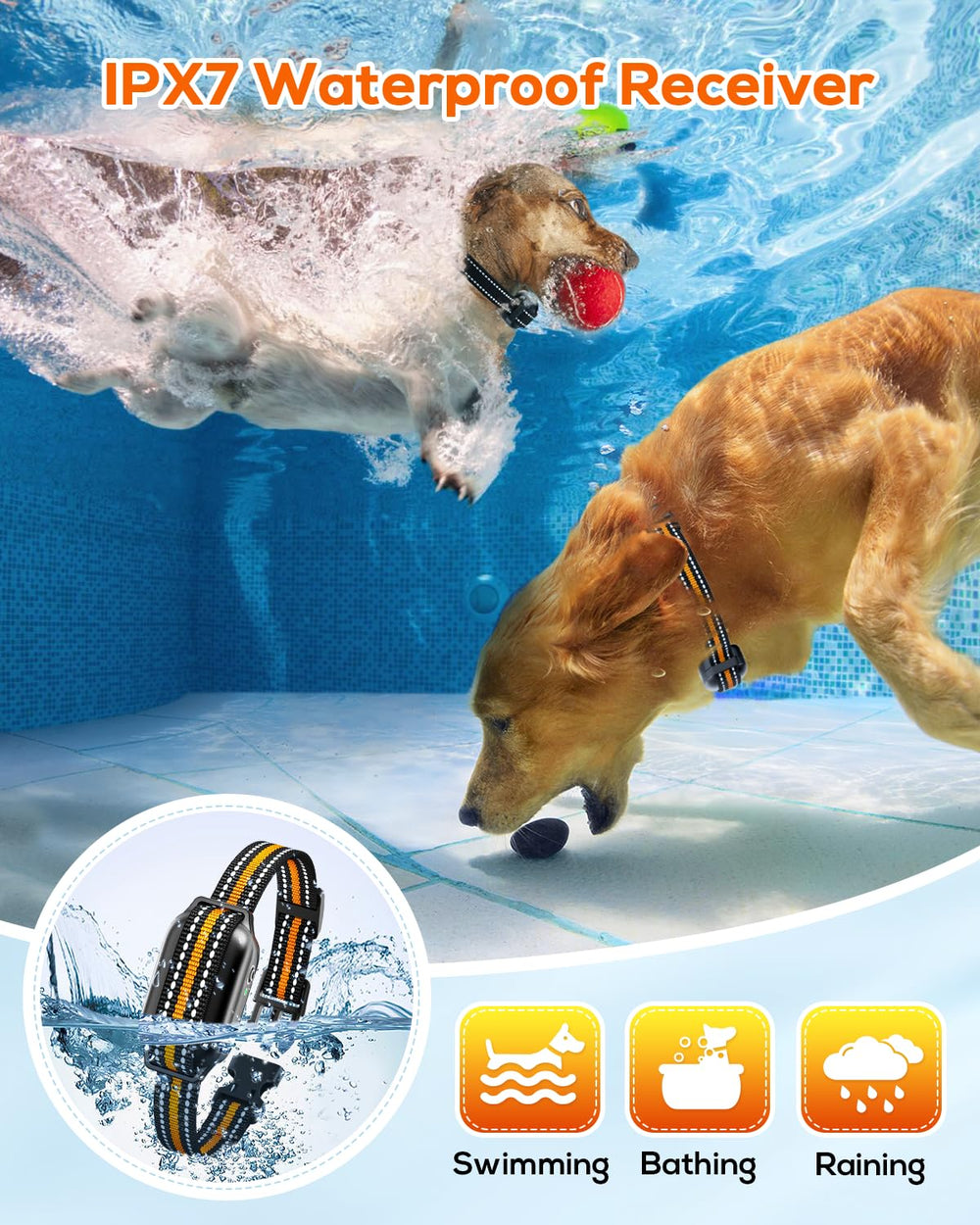 Tallentrol IPX7 waterproof collar ready for all weather use