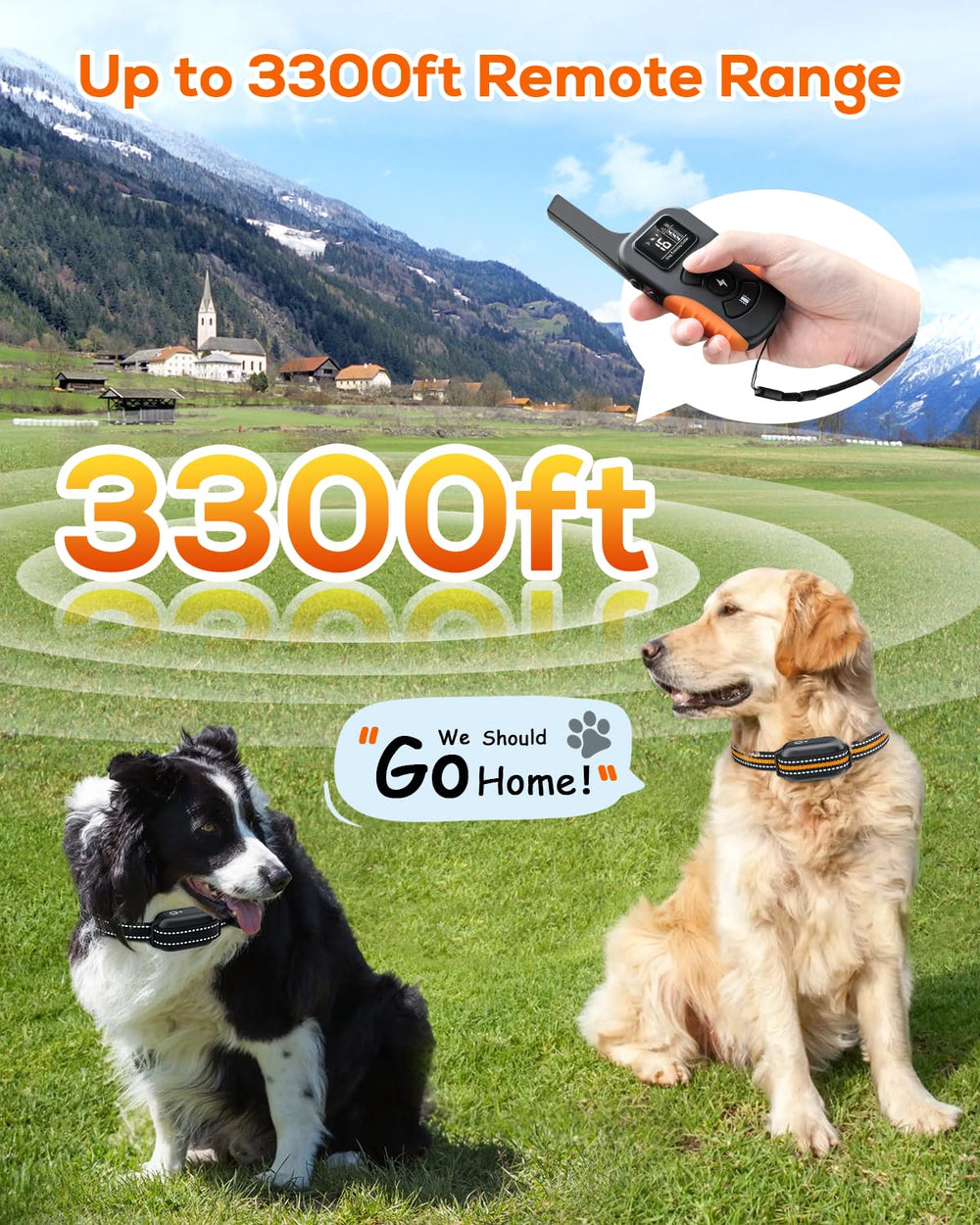Tallentrol three channel design enables training multiple dogs with one remote