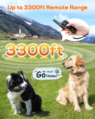 Tallentrol three channel design enables training multiple dogs with one remote