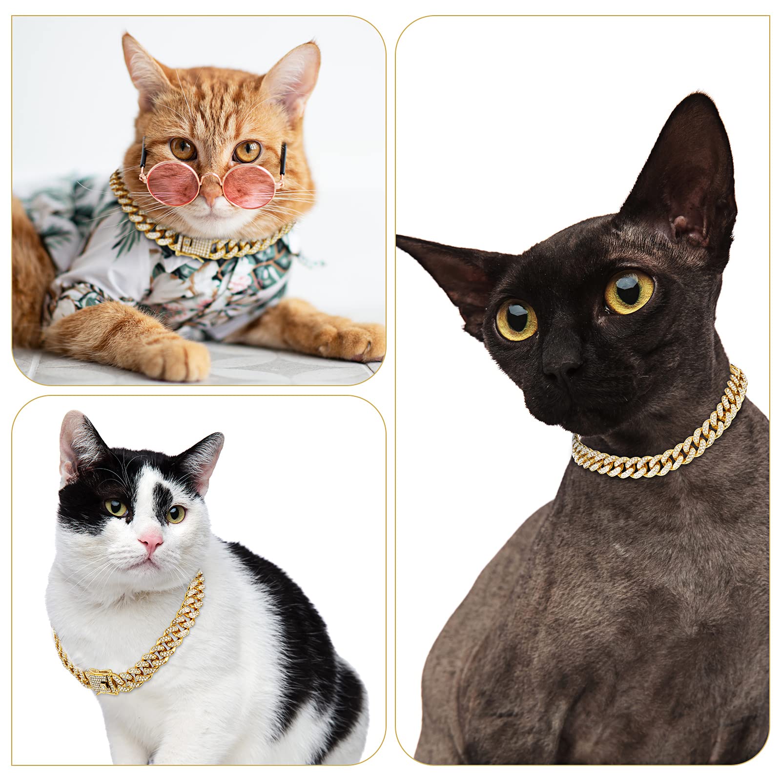 Collar dorado Tallew para gato, brillo suave y uso diario
