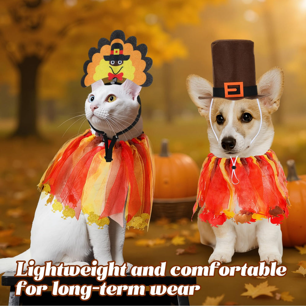 Talltalk thanksgiving-pet-costume photo-setup ready for holiday cards