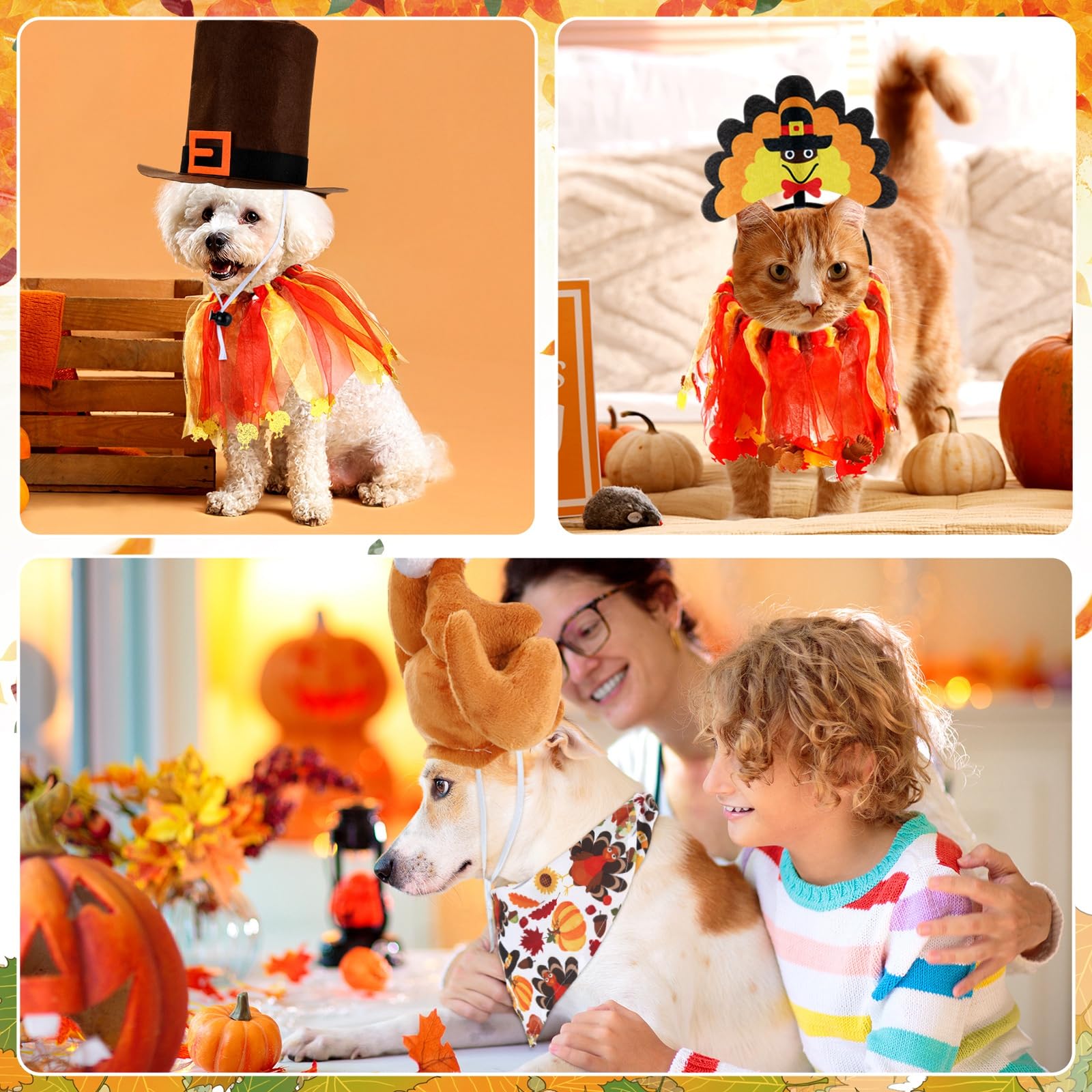 Talltalk turkey-costume full-set worn during a holiday photoshoot