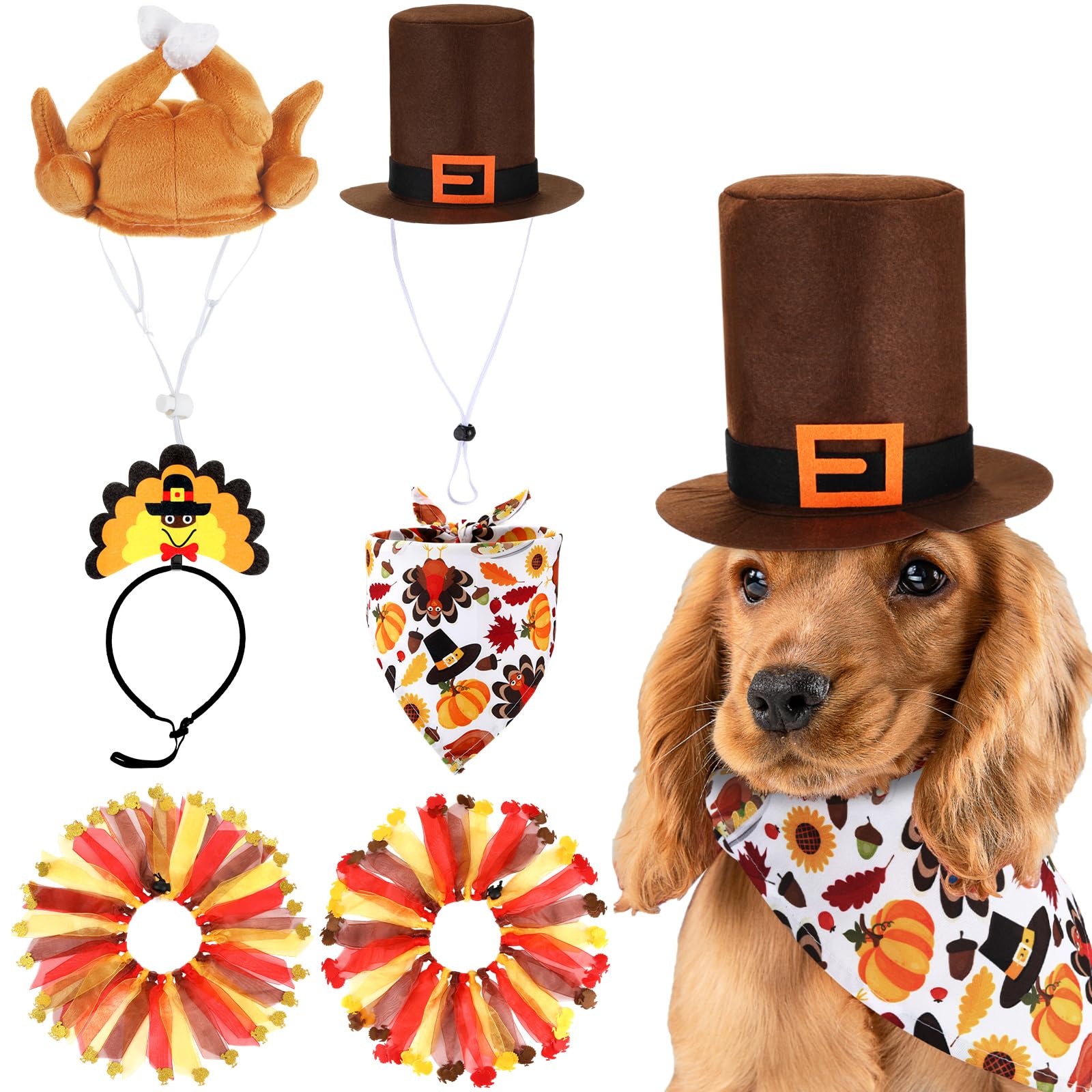 Talltalk turkey-costume headband close-up for festive pet portraits