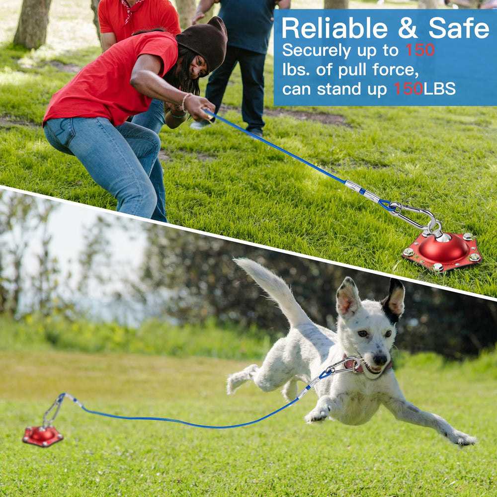 TAMABABY camping dog run setup in open outdoors