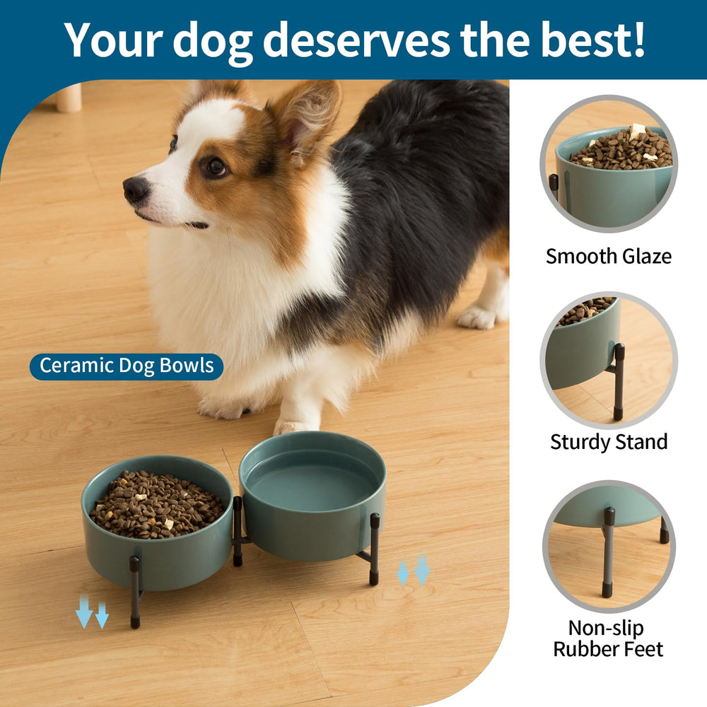 TAMAYKIM 6-inch bowls suitable for puppies, medium dogs, and cats.