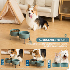 TAMAYKIM elevated stand with nonslip feet ensures stable feeding.