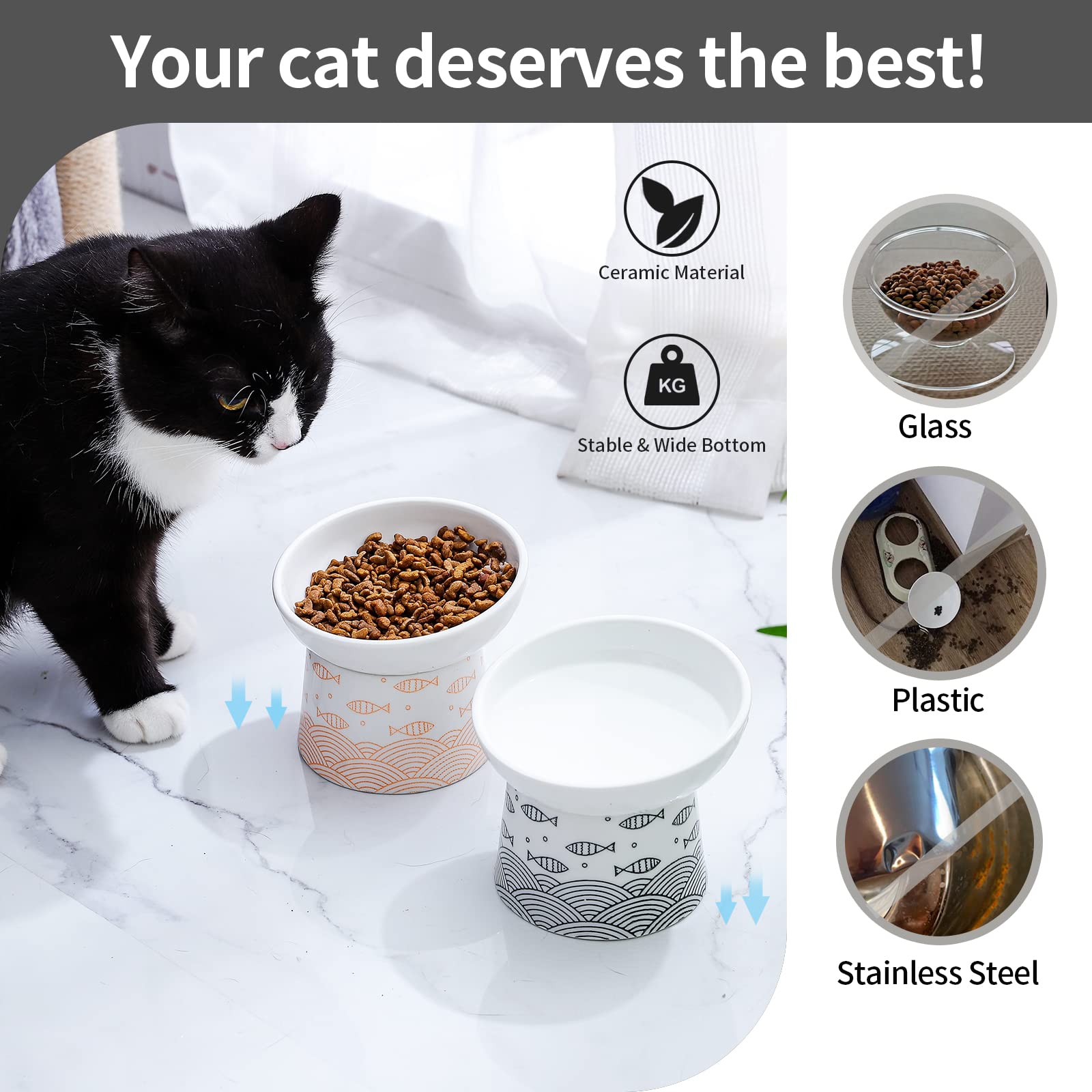 Tamaykim food-and-water-bowls set provides convenient two-bowl feeding.