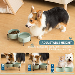 TAMAYKIM porcelain bowls with a 6 inch diameter for mid-sized pets.