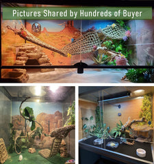TankMatDecor hanging plant creates vertical interest and naturalistic terrarium décor.