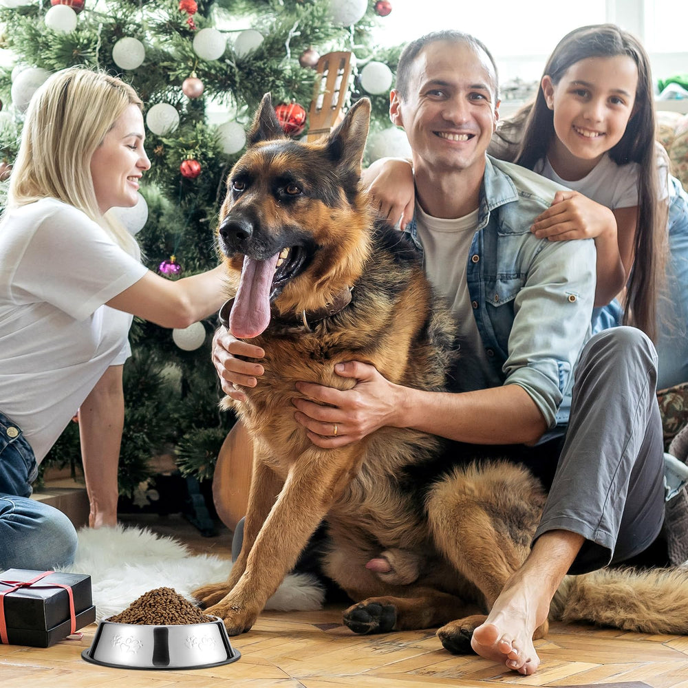 Tanlade upper rim design keeps pets comfortable while eating.