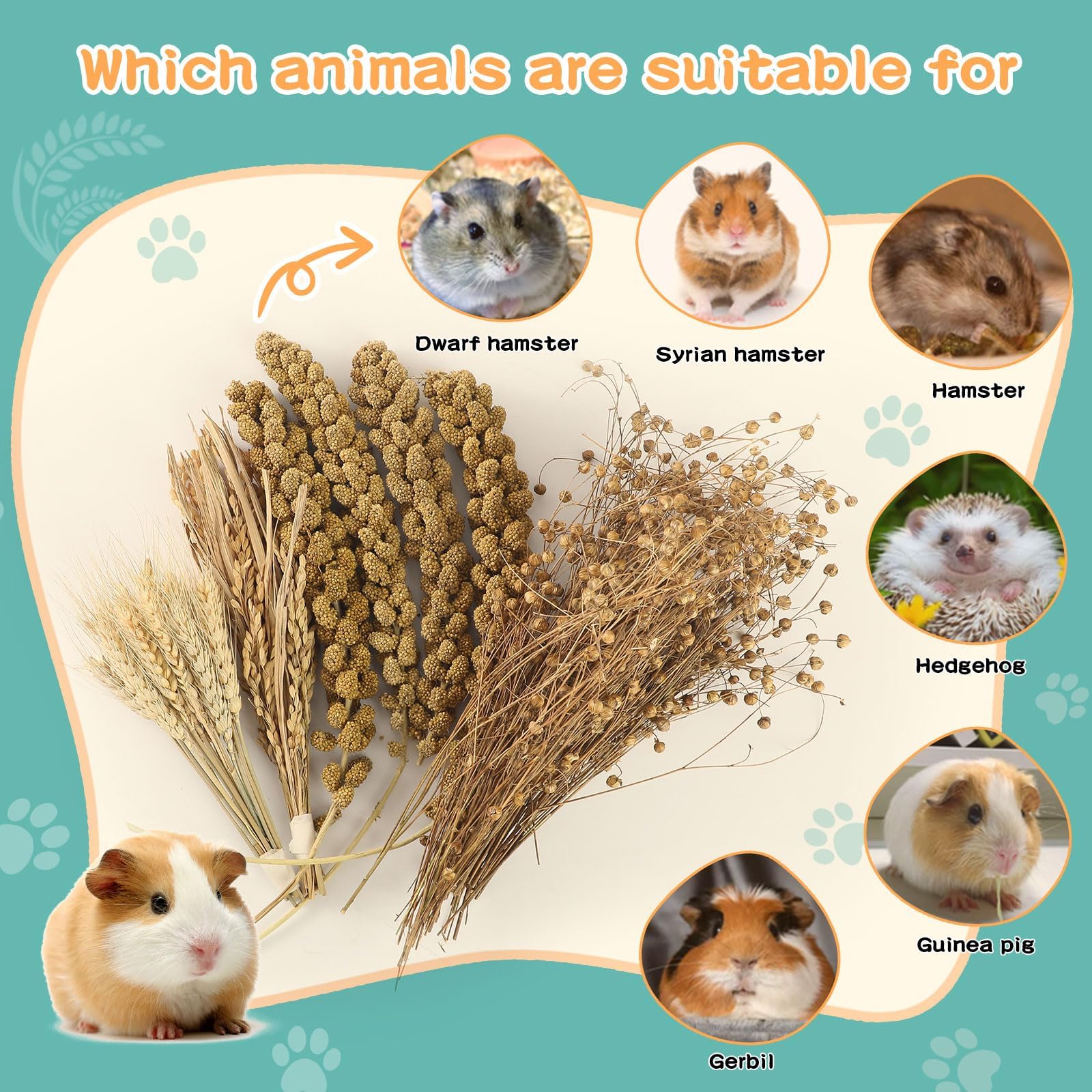 TAOKEKE Hamster Spray Set cage-decoration setup demonstrates multifunctional habitat decor