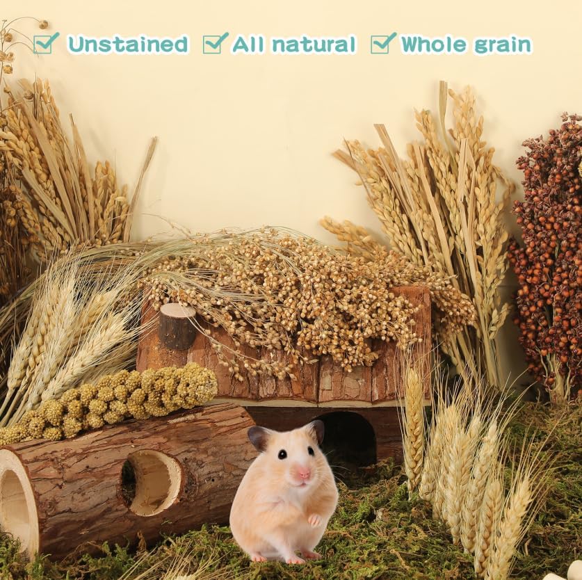 TAOKEKE Hamster Spray Set complete kit suitable for Syrian hamsters mice and other small pets