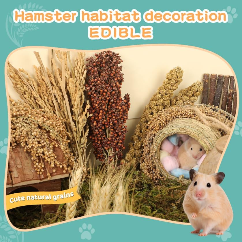 TAOKEKE Hamster Spray Set hidden stash design encourages exploration and nesting behaviors