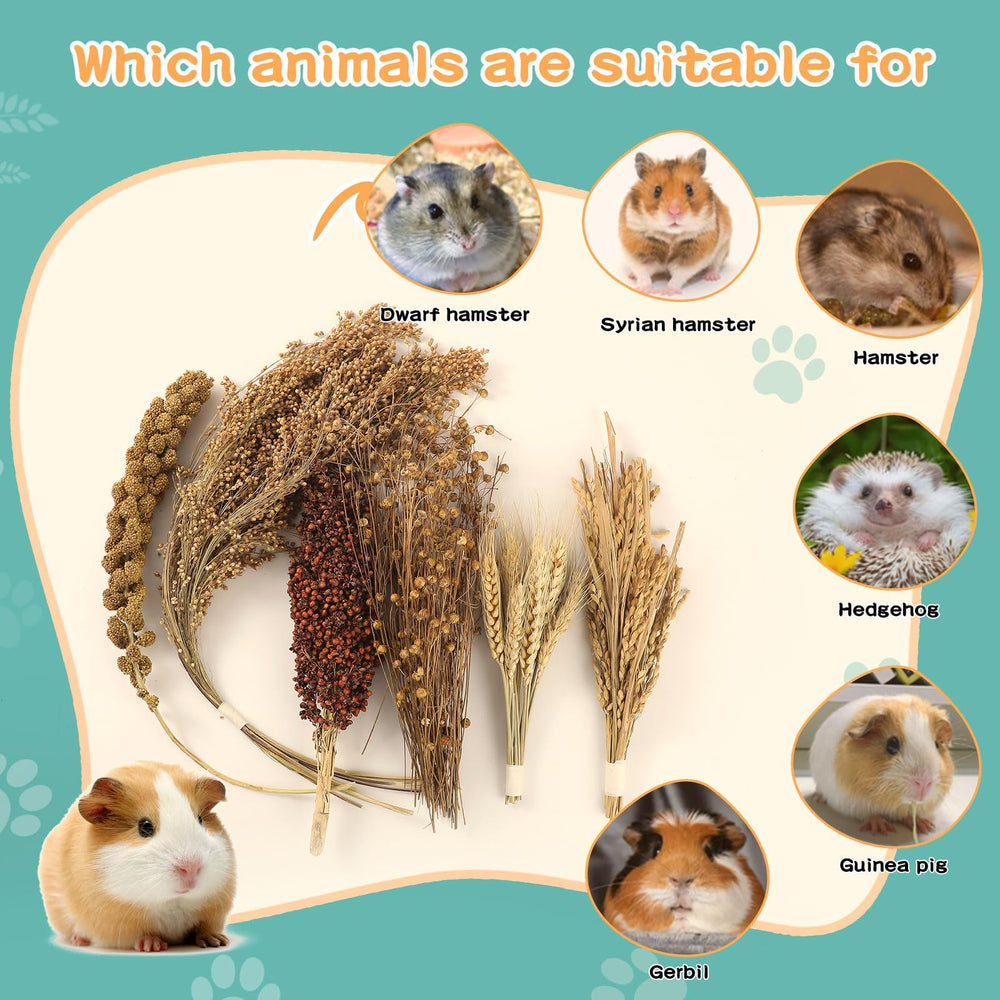 TAOKEKE hamster spray set panicle close-up shows decorative habitat enrichment