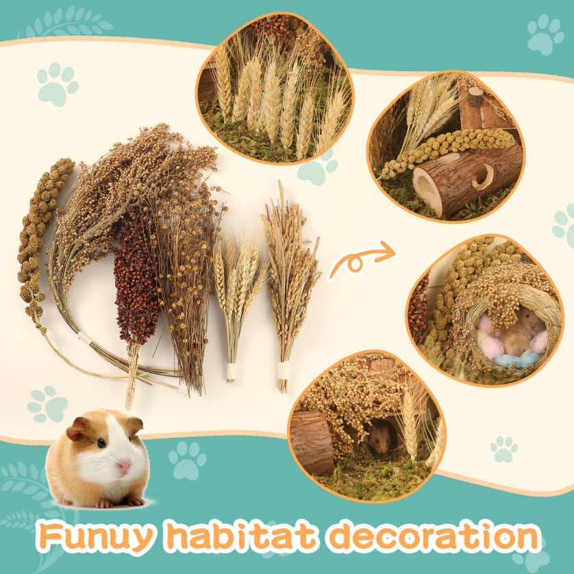 TAOKEKE hamster spray set rice pieces illustrate natural enrichment for hiding spots