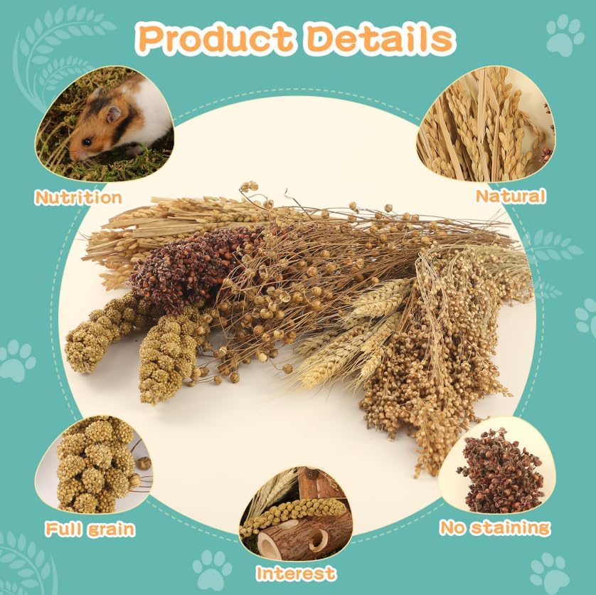 TAOKEKE hamster spray set sorghum millet display foraging rewards in cage