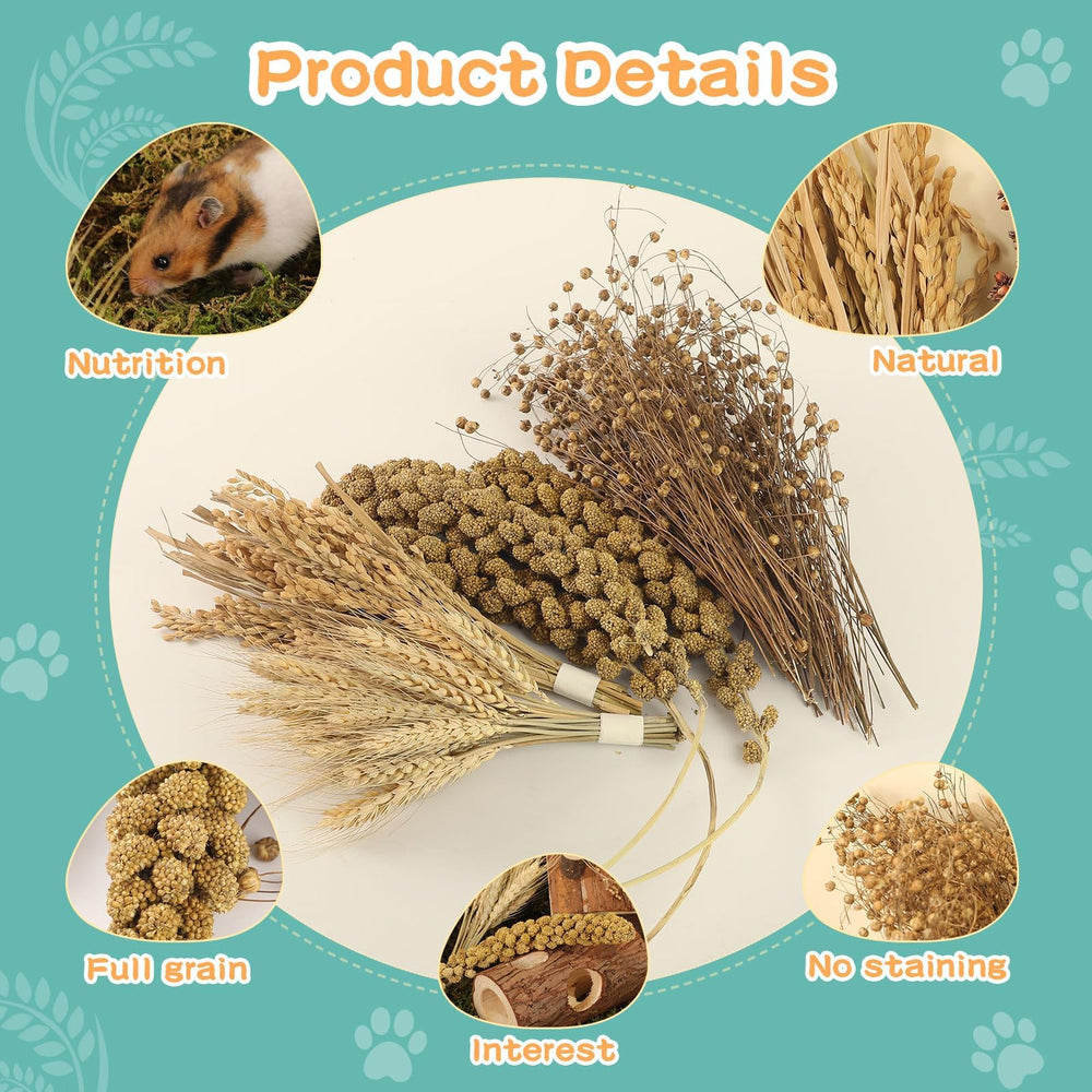 TAOKEKE Hamster Spray Set sun-dried materials emphasize natural safe bedding options