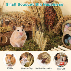 TAOKEKE hamster spray set yellow millet for active play and enrichment
