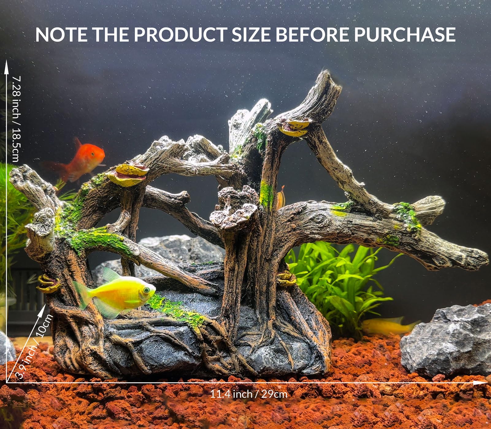 TAOMYPETS fish tank hideout root, provides play holes for curious bettas and guppies.