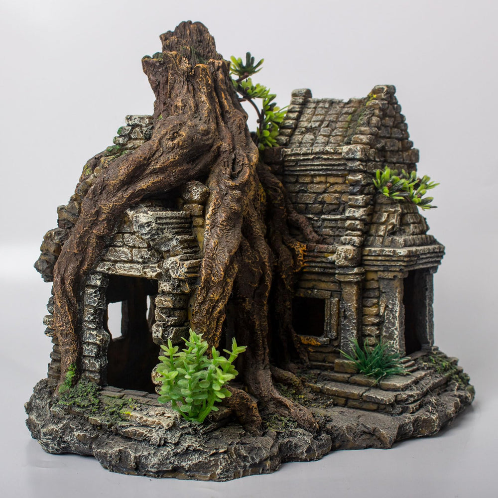 TAOMYPETS resin natural-scene habitat complements live plants for cohesive aquarium visuals.