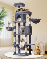 Taoqimiao cat-tree anti-tilt base for stable climbing.