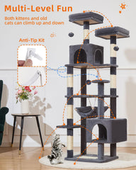 Taoqimiao cat-tree hole-entrances offer hiding and lookout spots.