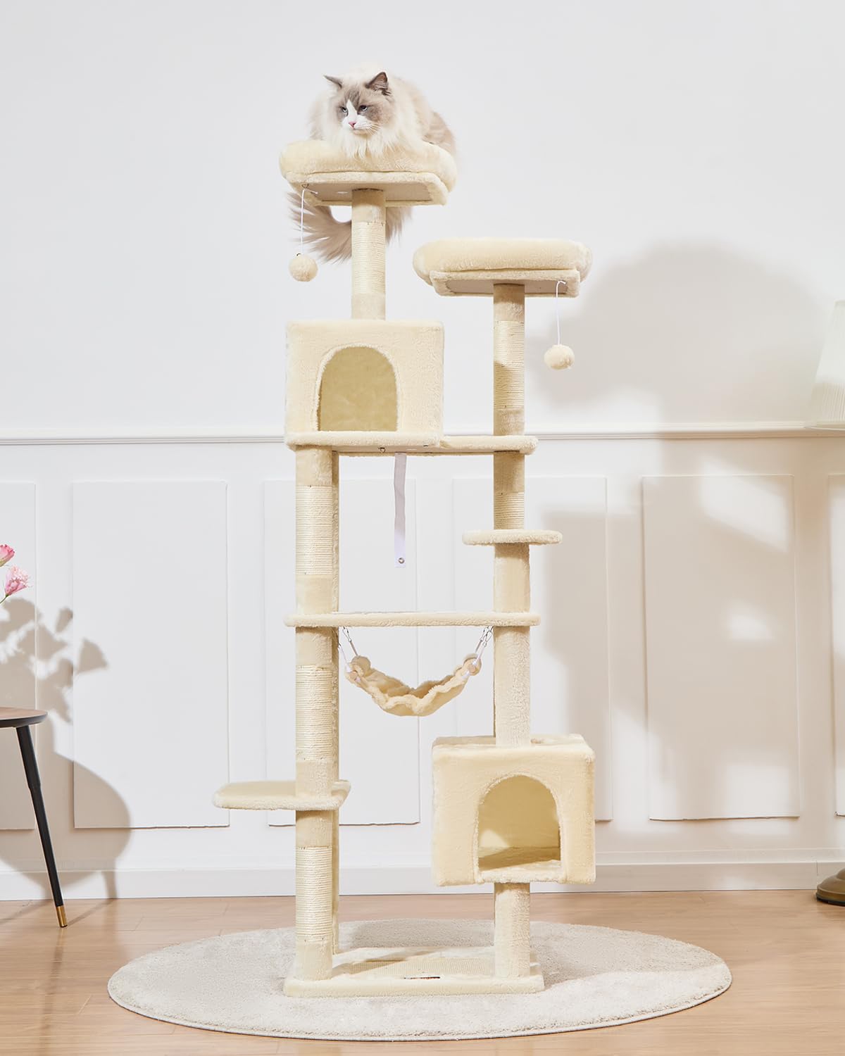 Taoqimiao MS020SM cat holes provide private resting spaces
