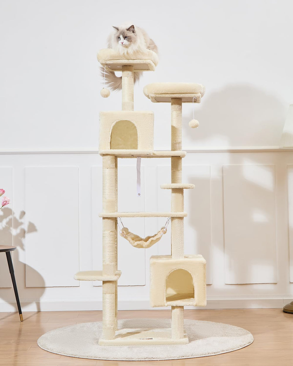 Taoqimiao MS020SM cat holes provide private resting spaces