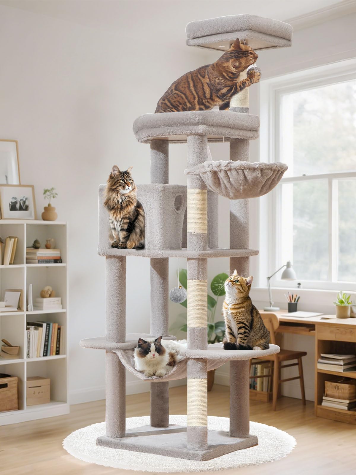Taoqimiao MS042W cat tree front view highlights a stable base for multi-cat play.