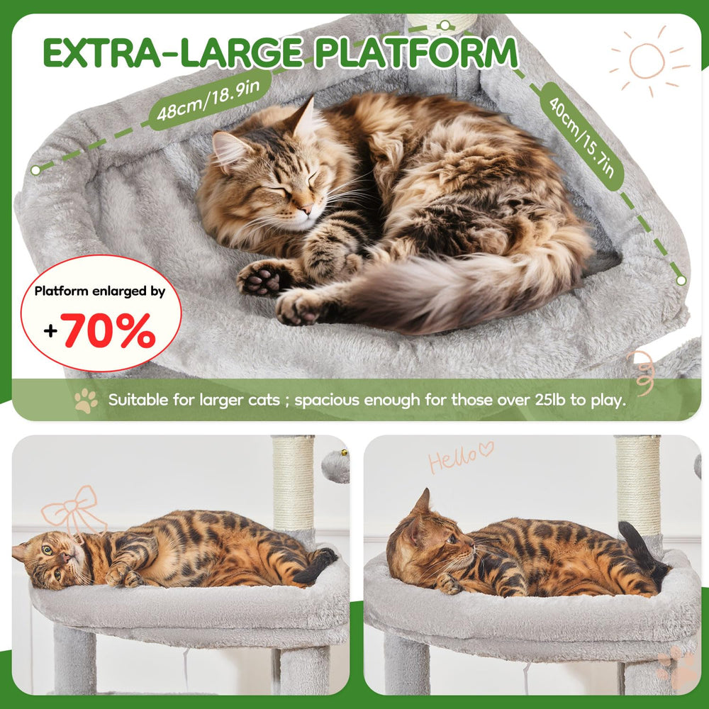 Taoqimiao MS042W cat tree top view showcases multi-level design and spacious lounging.