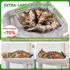Taoqimiao MS042W cat tree top view showcases multi-level design and spacious lounging.