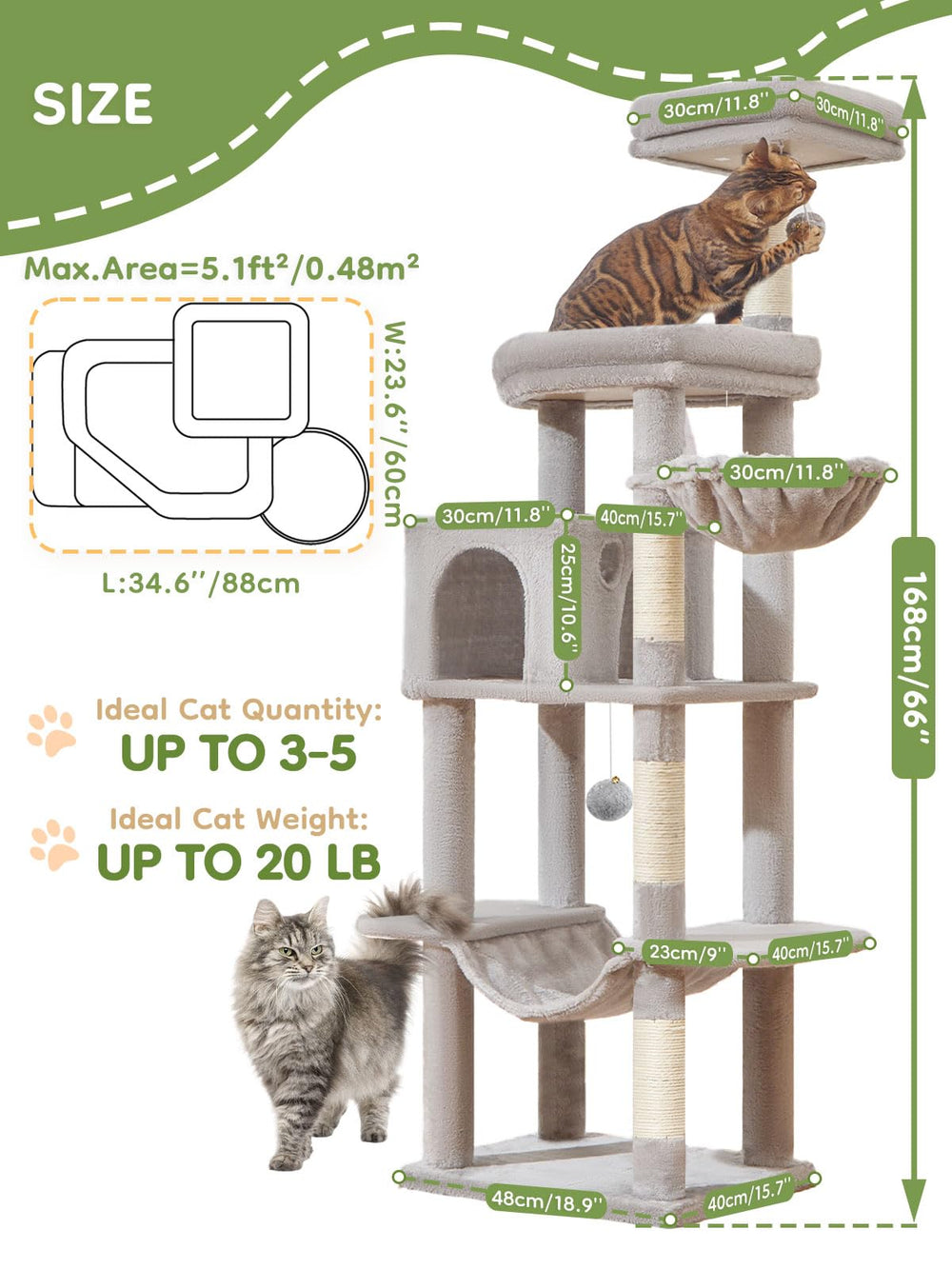 Taoqimiao MS042W viewing platform captures a high vantage for curious cats.