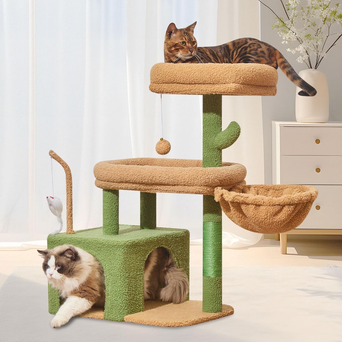 Taoqimiao MS043T base-stable plate provides a solid foundation for indoor cats